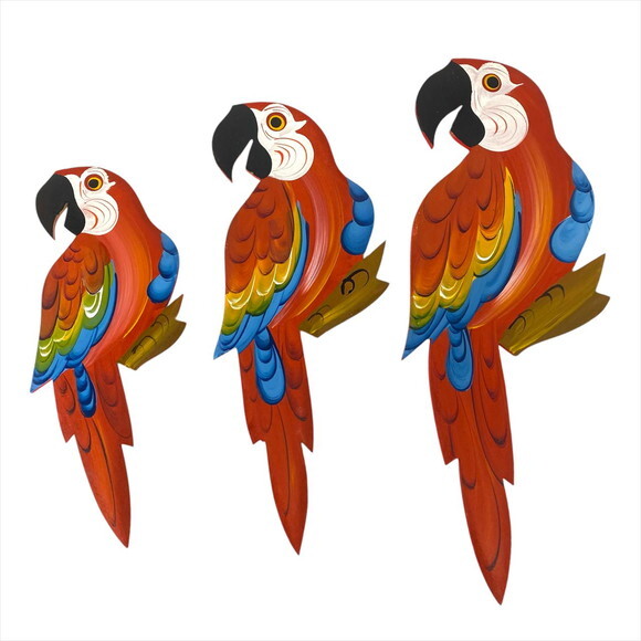 Trio de Arara G3 - Madeira