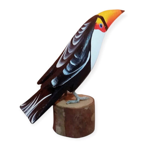 Tucano no Toquinho - Madeira - Aves do Brasil