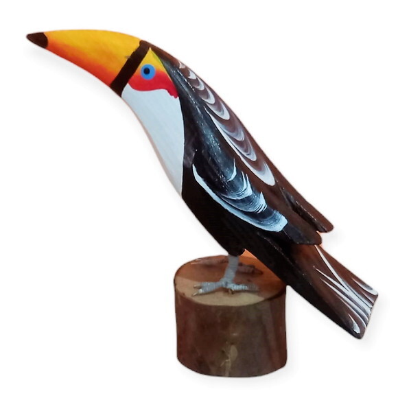Tucano no Toquinho - Madeira - Aves do Brasil