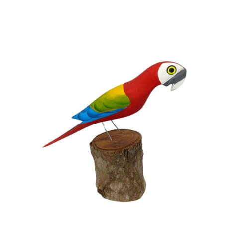 Arara no Toquinho - Vermelha - Madeira