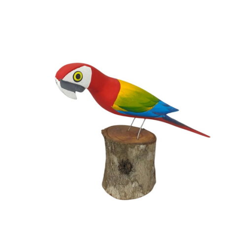 Arara no Toquinho - Vermelha - Madeira