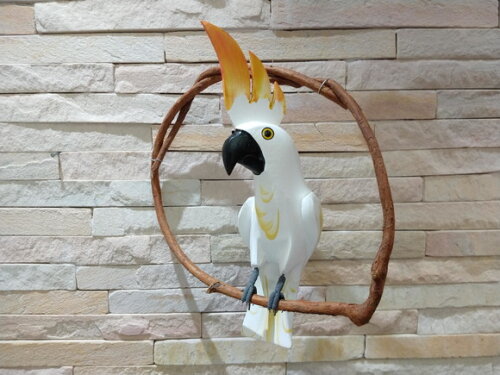 Cacatua de Galho Pp - Madeira