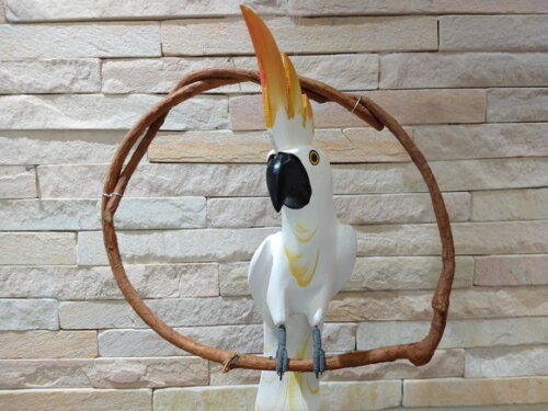 Cacatua de Galho P - Madeira