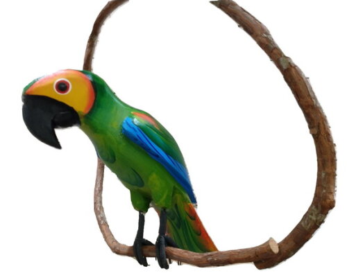 Papagaio de Galho m - Madeira