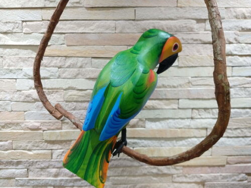 Papagaio de Galho P - Madeira