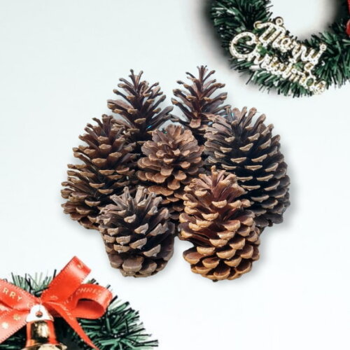 Pinhas Naturais Enfeite Natal Arvore Artesanato 30 Unidades