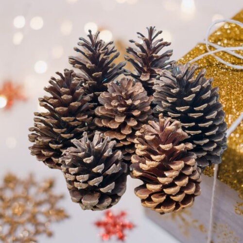 Pinhas Naturais Enfeite Natal Arvore Artesanato 30 Unidades