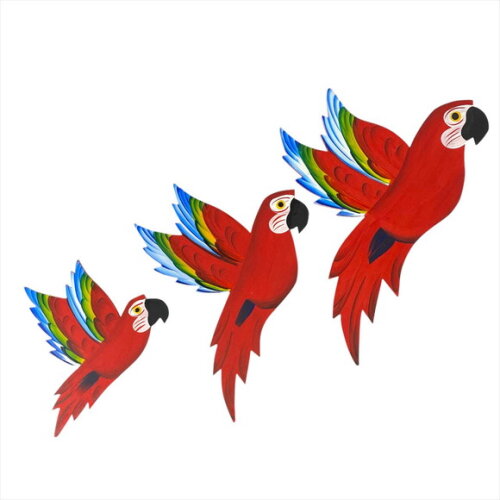 Trio de Arara Asa
