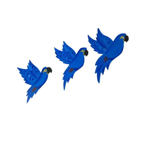 Trio de Arara Asa