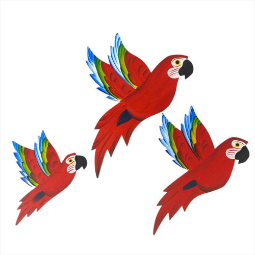 Trio de Arara Asa