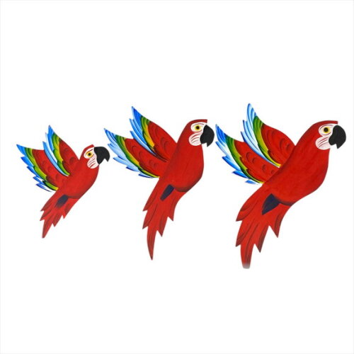 Trio de Arara Asa