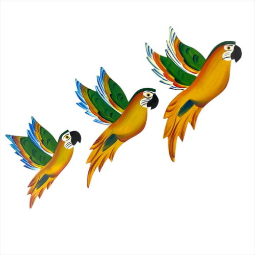 Trio de Arara Asa Verde