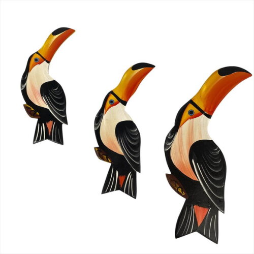 Trio de Tucano M.