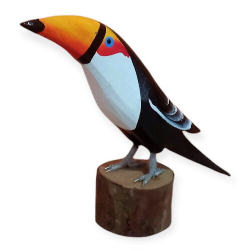 Tucano no Toquinho - Madeira - Aves do Brasil