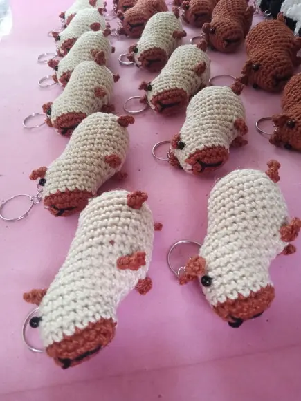 Bichinhos Diversos em Crochê Amigurumi