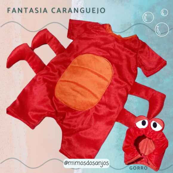 Fantasia Caranguejo - Pronta Entrega