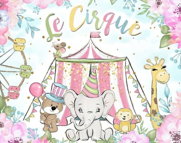 KIT DIGITAL CIRCO ROSA LE CIRQUE