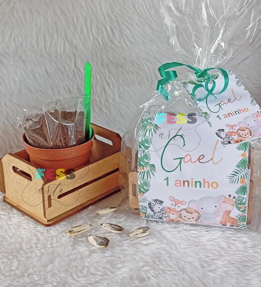 Lembrancinha Jardim Encantado Kit Jardinagem Fazendinha Eco