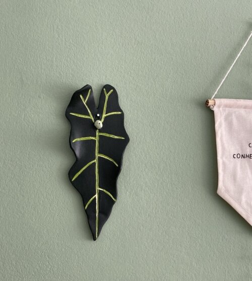 Alocasia