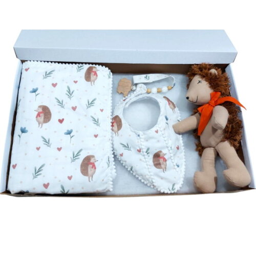 Kit Baby Ouriço com Manta, Kits Delicados para Bebes.