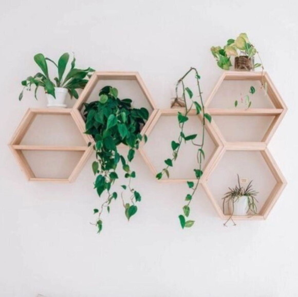 Conjunto com 5 Nichos Jardim Vertical Grande