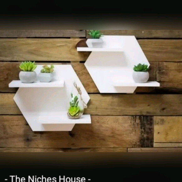 Nicho Prateleira Hexagonal Sextavado Colmeia Suculentas