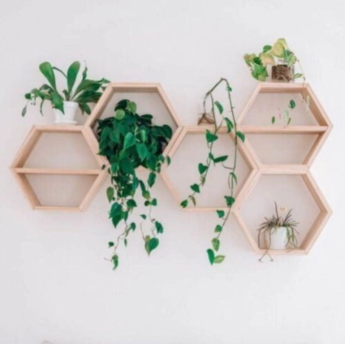 Conjunto com 5 Nichos Jardim Vertical Grande