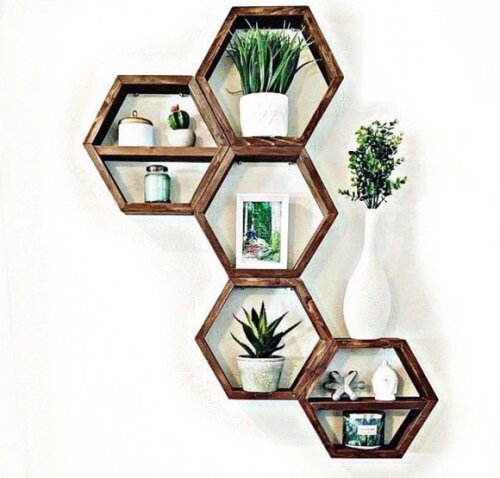 Conjunto com 5 Nichos Jardim Vertical Grande