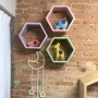 3 Nichos Sextavados Hexagonal Jardim Vertical