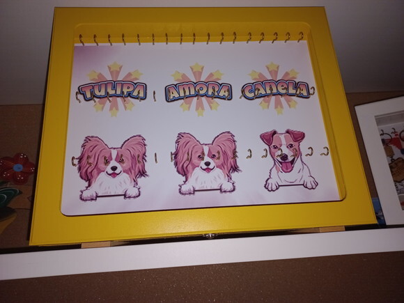 Quadro Porta Chaveiros - Colecionador e Quem Ama Chaveiros