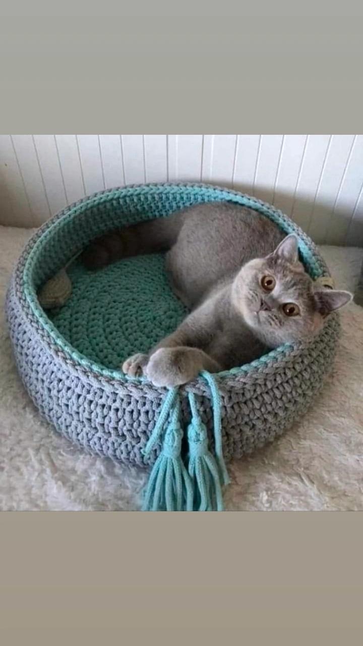 Cama pet