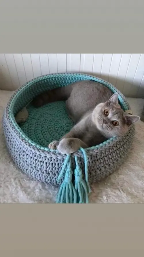 Cama pet