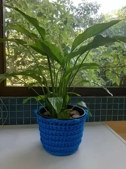 Vaso de Flores de Crochê