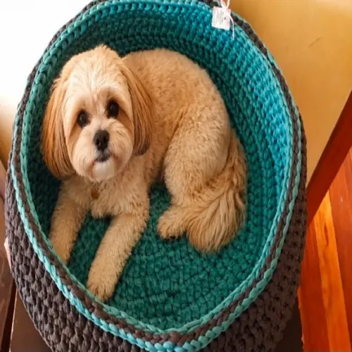 Cama Pet