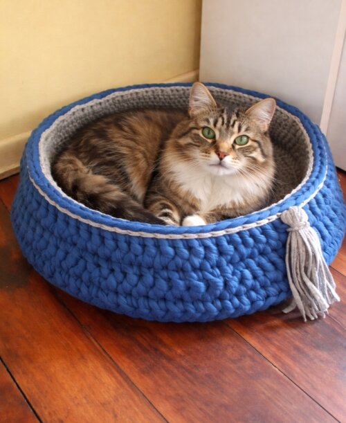 Cama pet