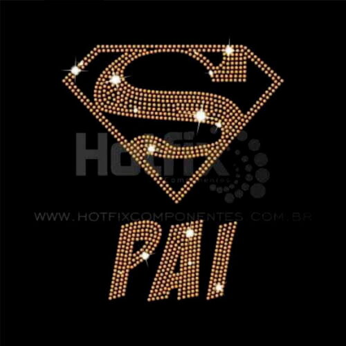 Camisa Personalizada em STRASS