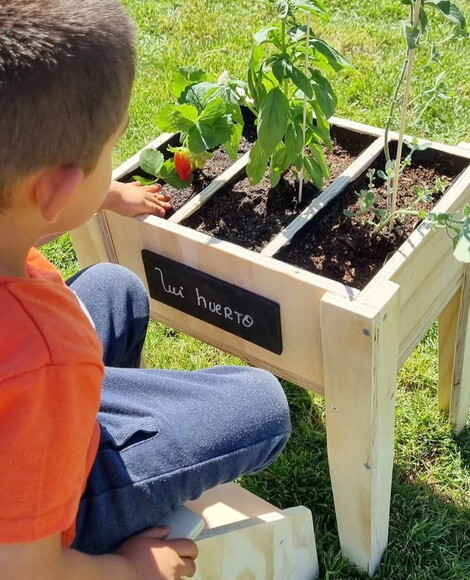 Montessori Hortinha