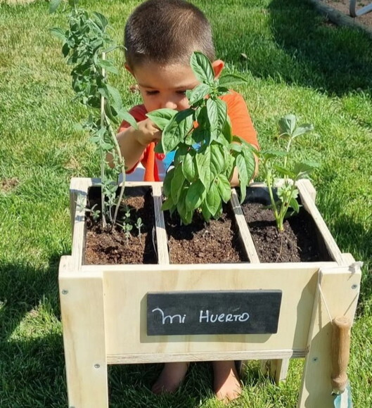 Montessori Hortinha