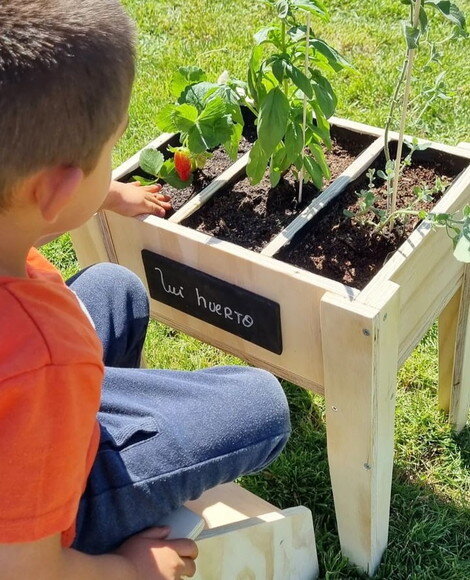 Montessori Hortinha