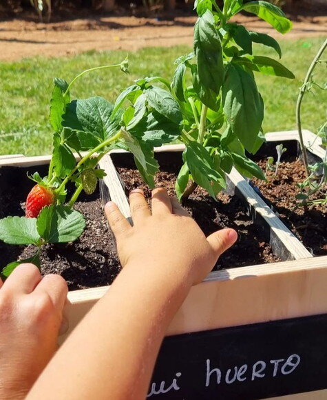 Montessori Hortinha