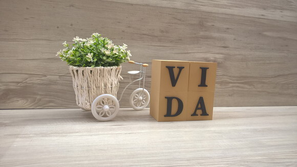 Cubos Decorativos VIDA
