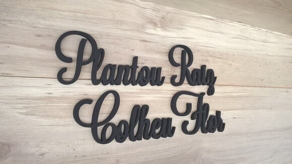Frase de Parede Plantou Raiz Colheu Flor - linha LS