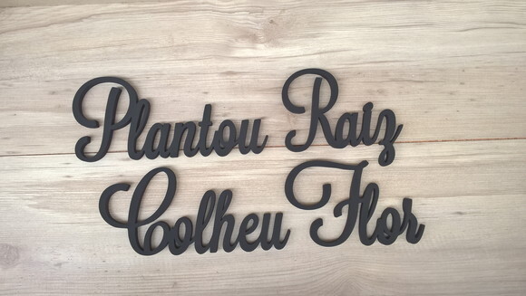Frase de Parede Plantou Raiz Colheu Flor - linha LS