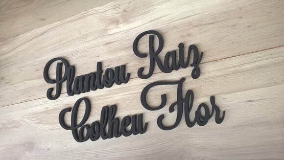 Frase de Parede Plantou Raiz Colheu Flor - linha LS
