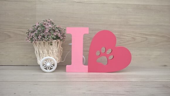 I Love PET