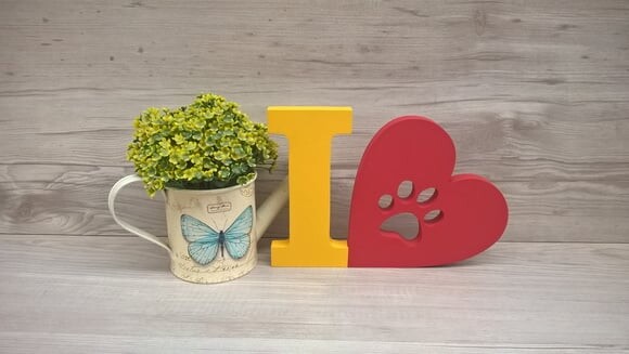 I Love PET