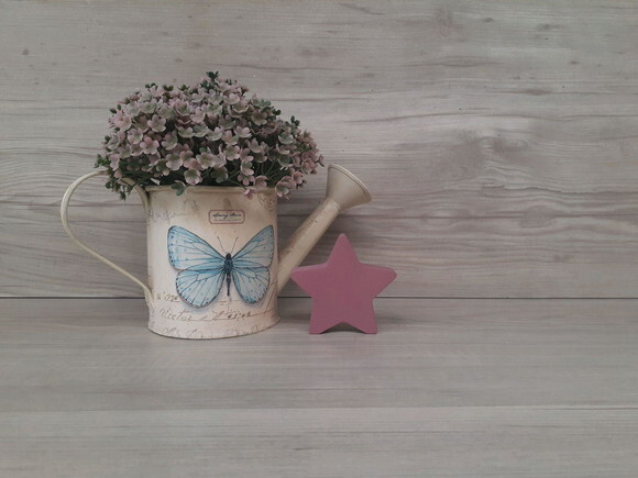 Miniatura Estrela