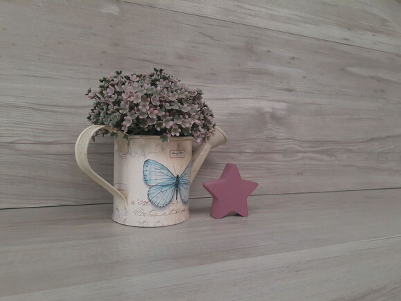 Miniatura Estrela