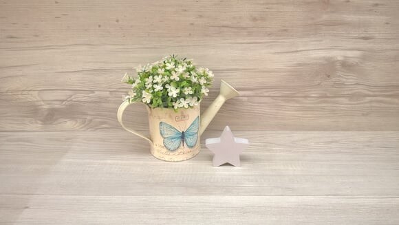 Miniatura Estrela