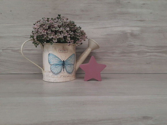 Miniatura Estrela